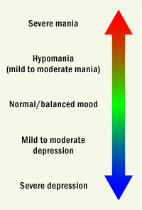 The mood process in bipolar disorder