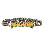 Enchanted Woods