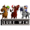 Sure Win