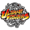 Ultimate Fighters