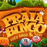 Facebook's game 'Praia Bingo'