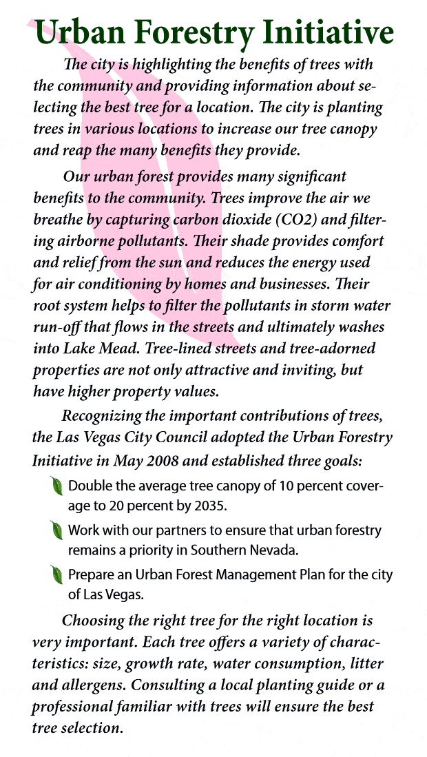Urban Forestry Initiative