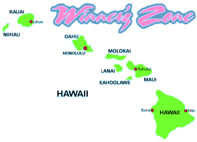 Illegal Gambling in Hawaii