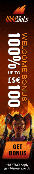 Wild Slots casino