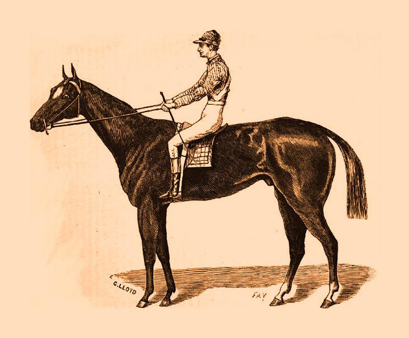 Aristides, the horse who won the 1st Kentucky Derby
