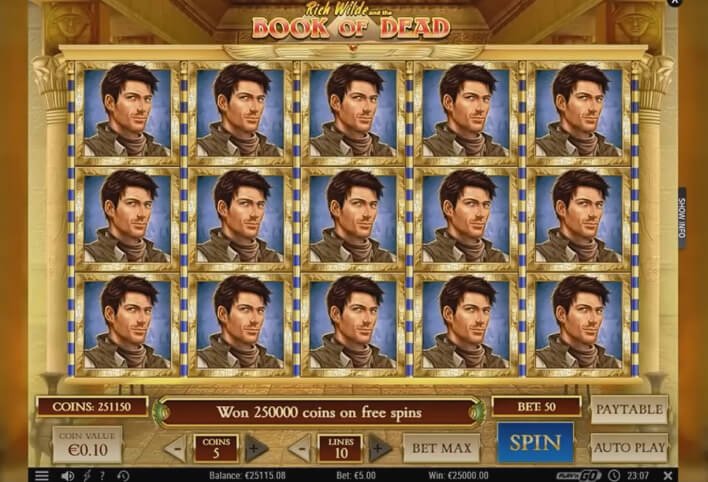 Book of the Dead slot (maximum winning combination)