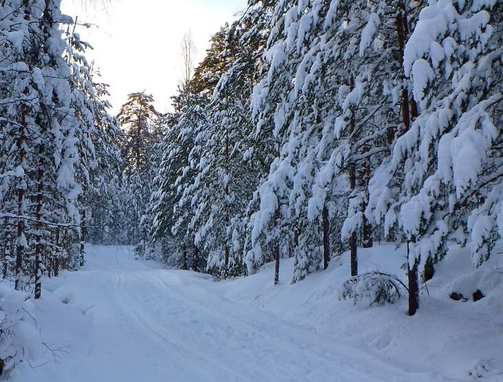 Pirttimäki, Espoo (Finland)