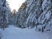 Best Finnish Online Casinos