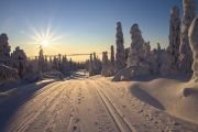 Best Scandinavian Online Casinos