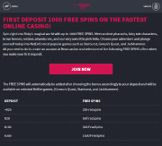 Getting into Free Spins