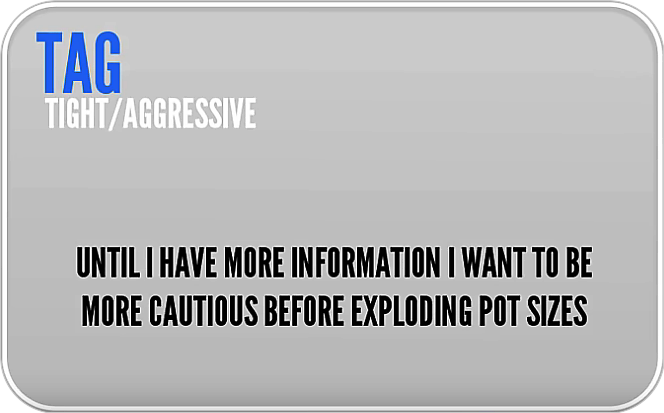 TAG (tight / aggressive) poker players