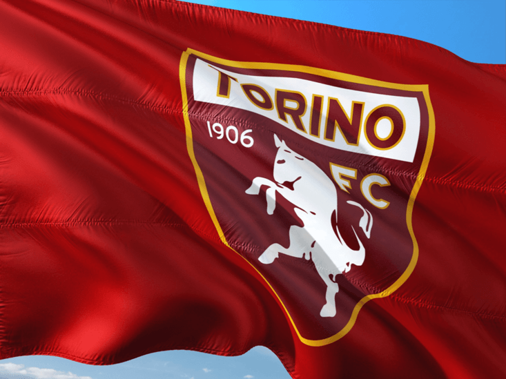 Flag of Torino Football Club