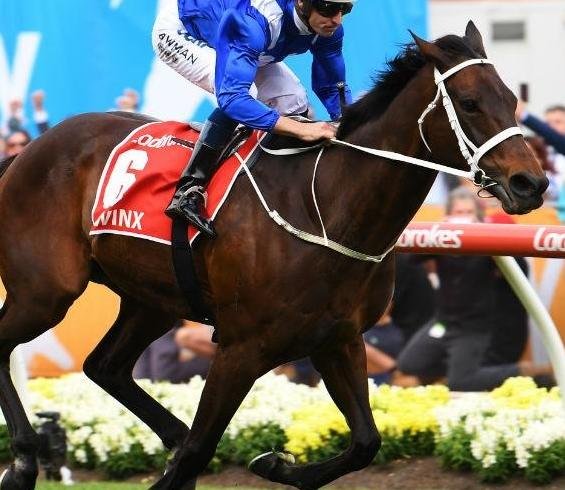 Australian horse Winx Australian horse Winx